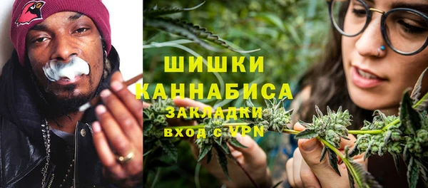 PSILOCYBIN Баксан