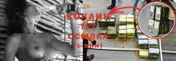 гашик Богданович