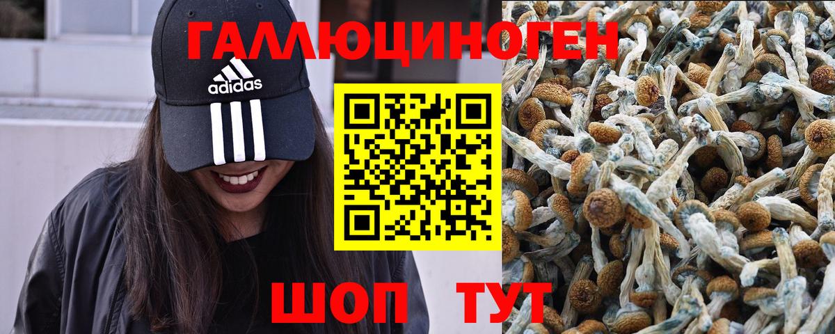 Галлюциногенные грибы Psilocybine cubensis  Псилоцибиновые грибы Psilocybine cubensis  магазин  наркотиков  Вход с VPN  Радужный 